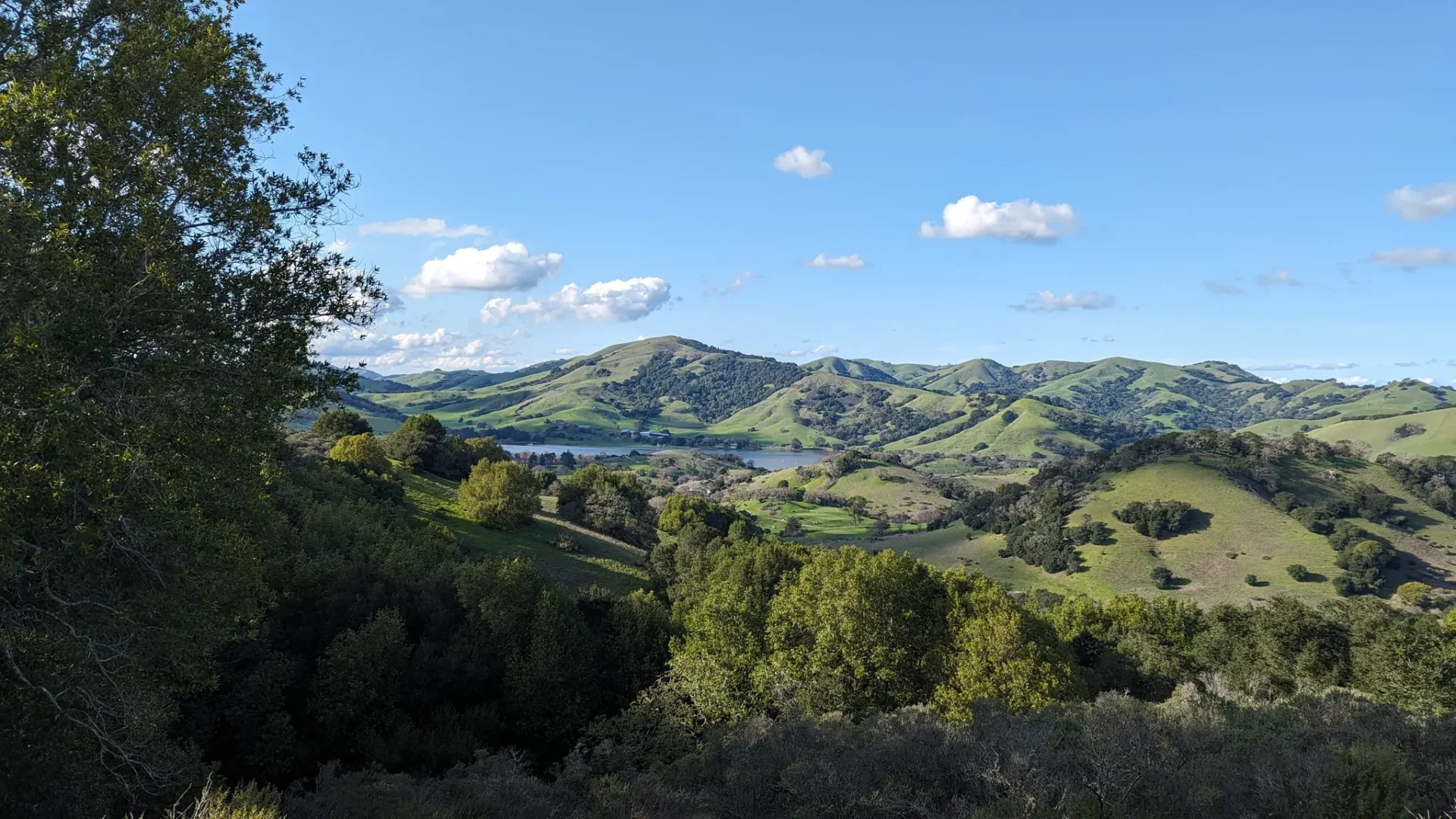 Indian Tree Open Space Preserve to Stafford Lake (Novato) - Bay