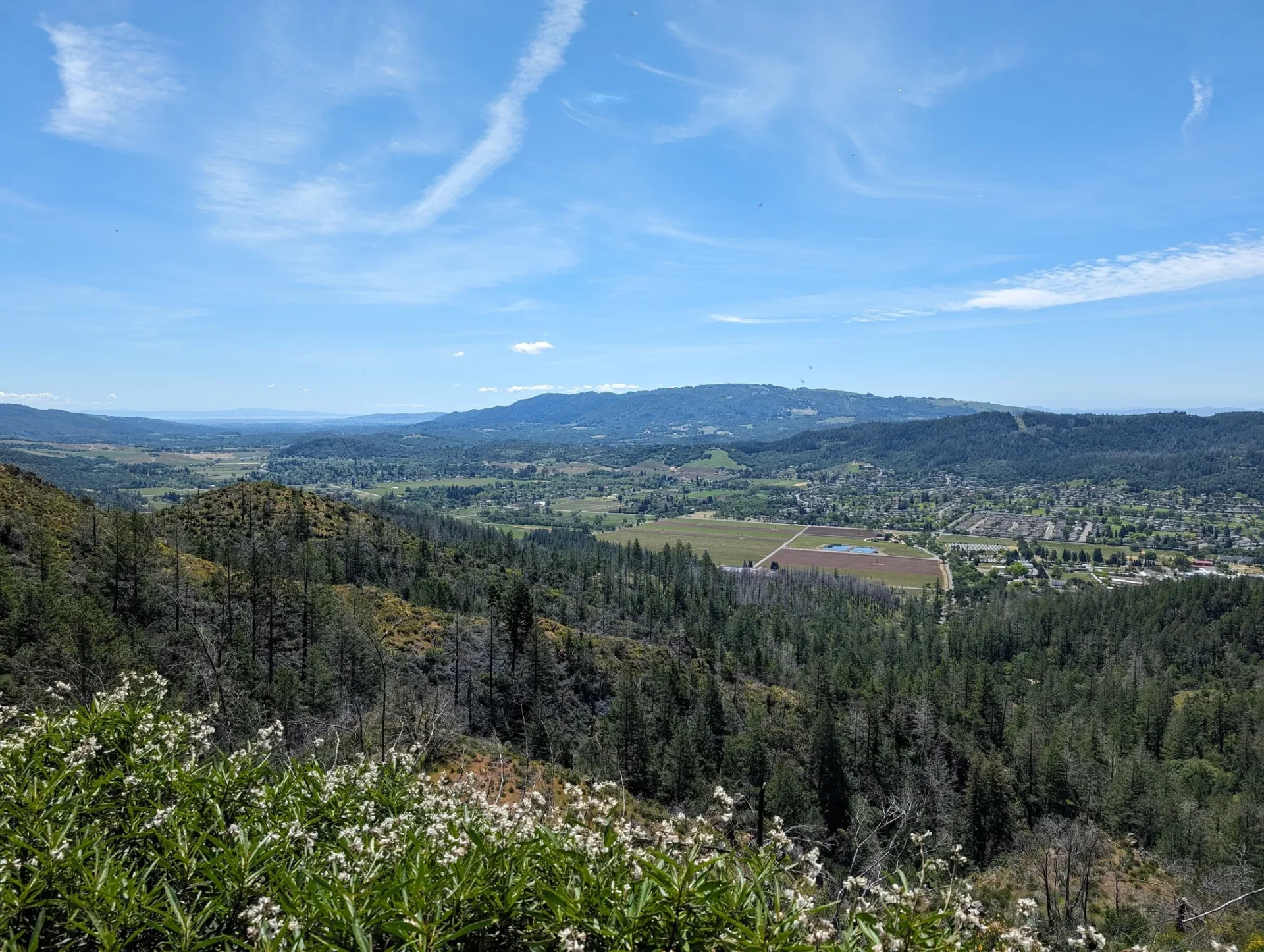 Hood Mountain Regional Park - Bay Area Ridge Trail
