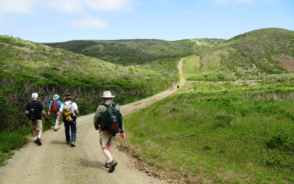 Western Ridge Section: Marin to Hillsborough - Bay Area Ridge Trail.