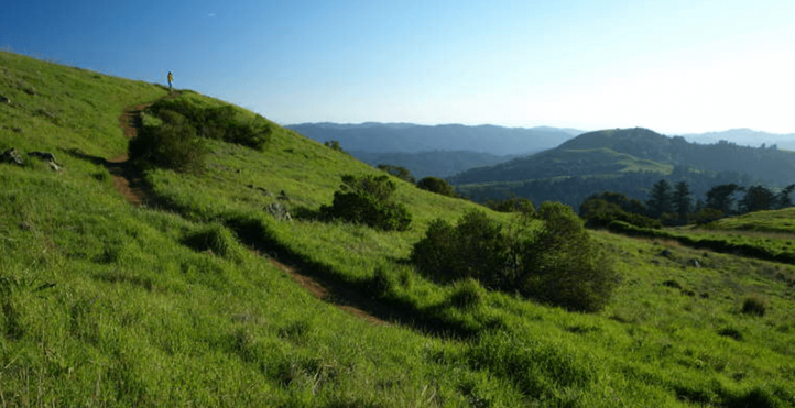 View of the trail in Russian Ridge Open Space Preserve