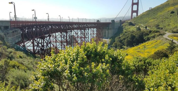View of Golden Gate Bridge from Ridge Trail