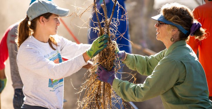 Volunteers move branches on Ridge Trail day