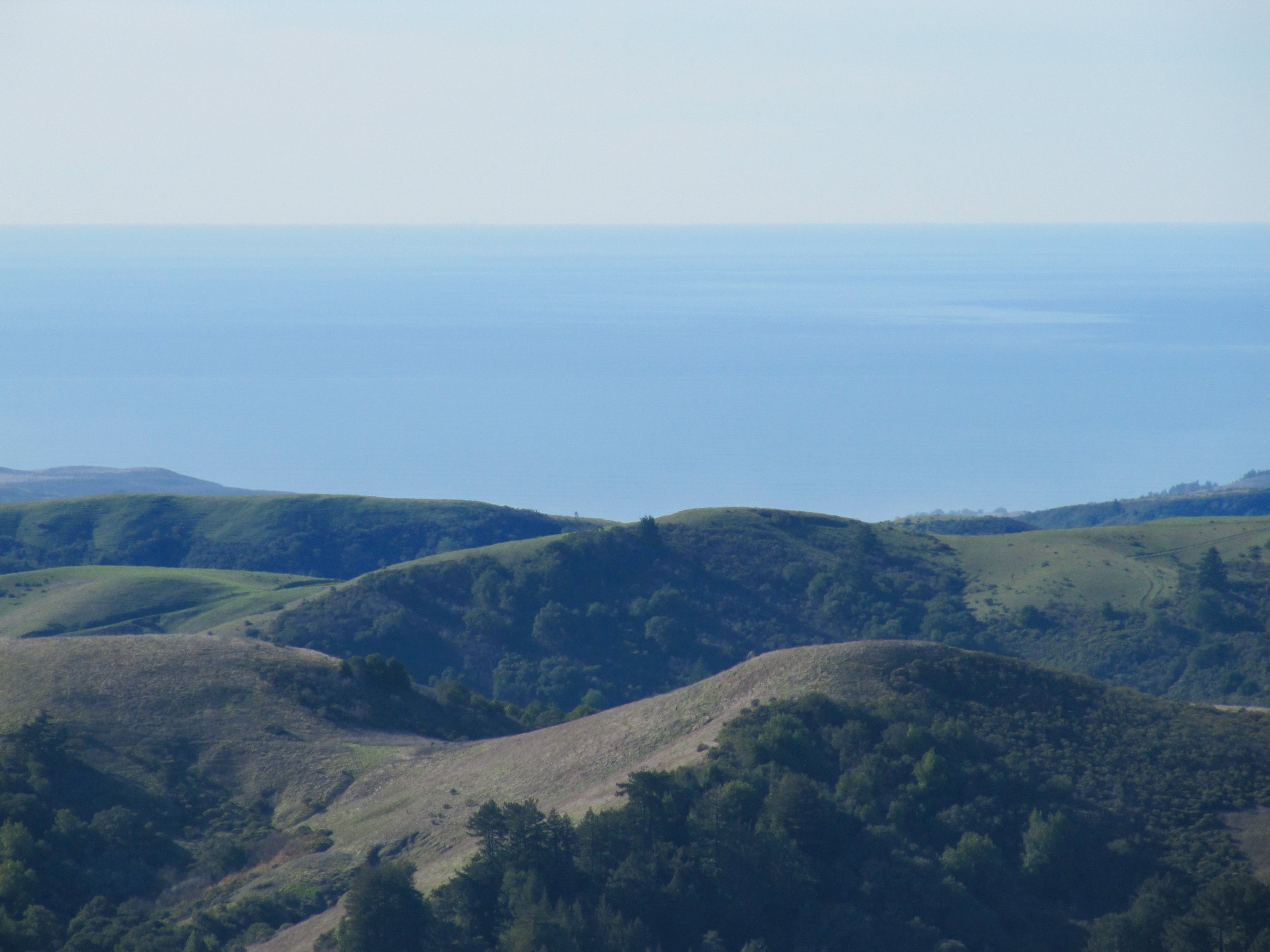 Windy Hill Walks Bay Area Ridge Trail