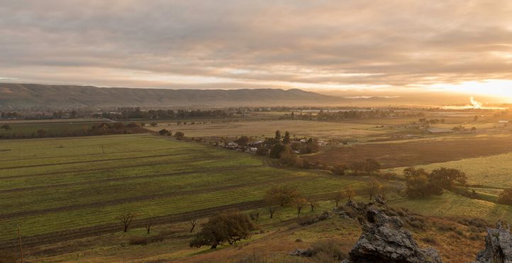 coyote valley