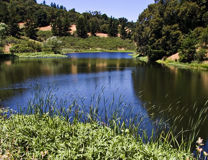 View of Horseshoe lake with hills and trees surrounding