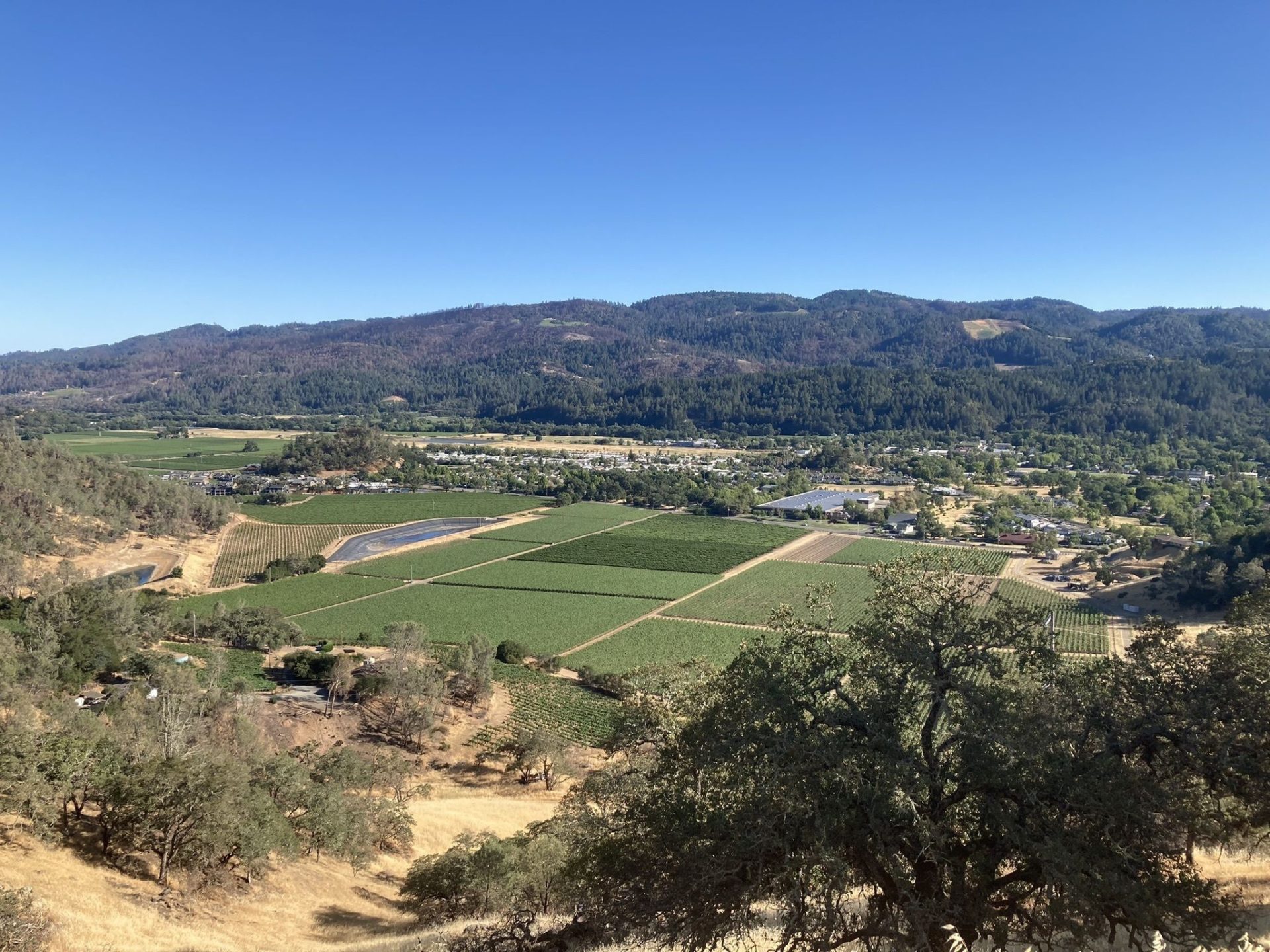 Lynnette Batt_AllTrails
