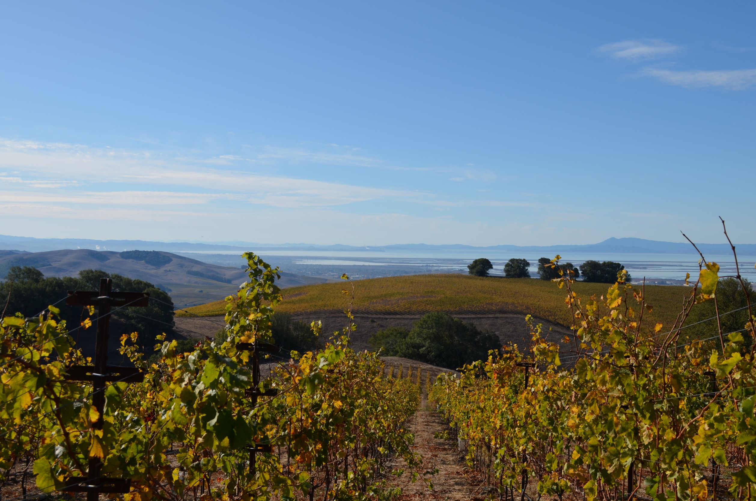 small_2020-11-20_Suscol Headwaters_Napa_Alex Sabo_RF (26)