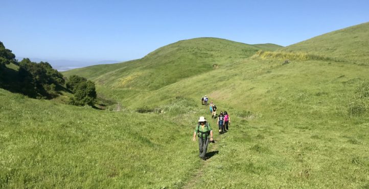 People hiking through green grassy hills in Solano county