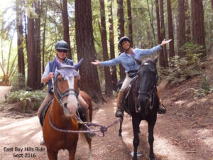 Two people riding horses in redwood forest