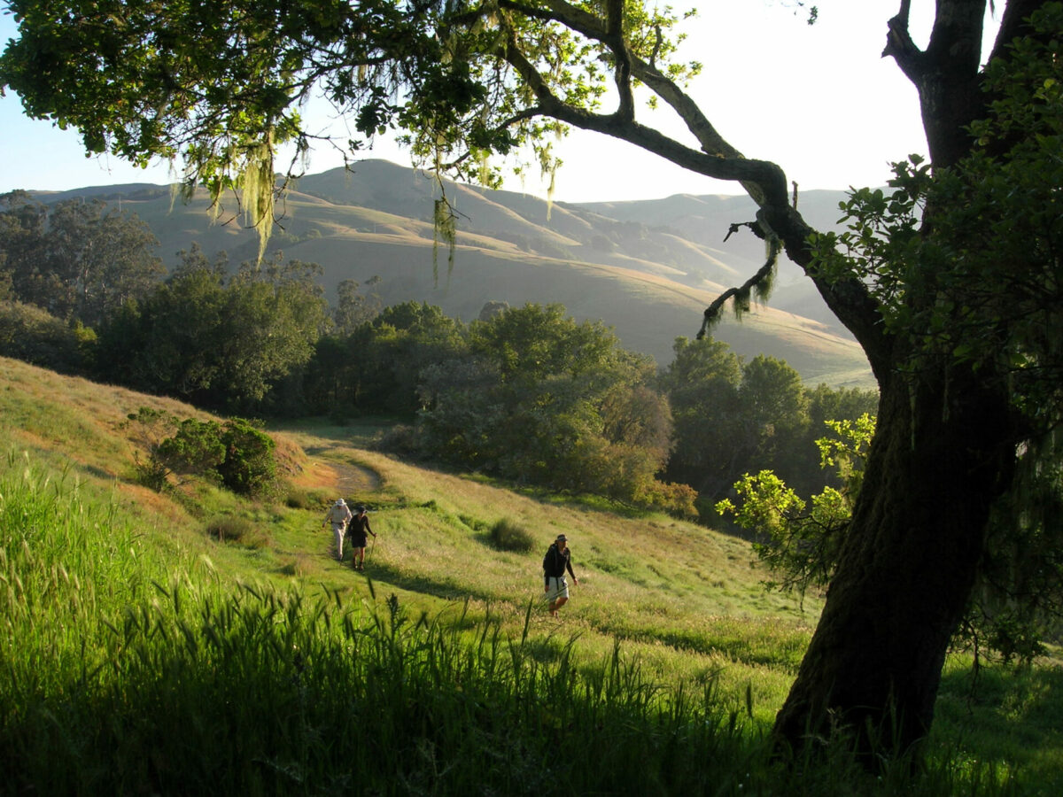 Trail Action Fund - Bay Area Ridge Trail