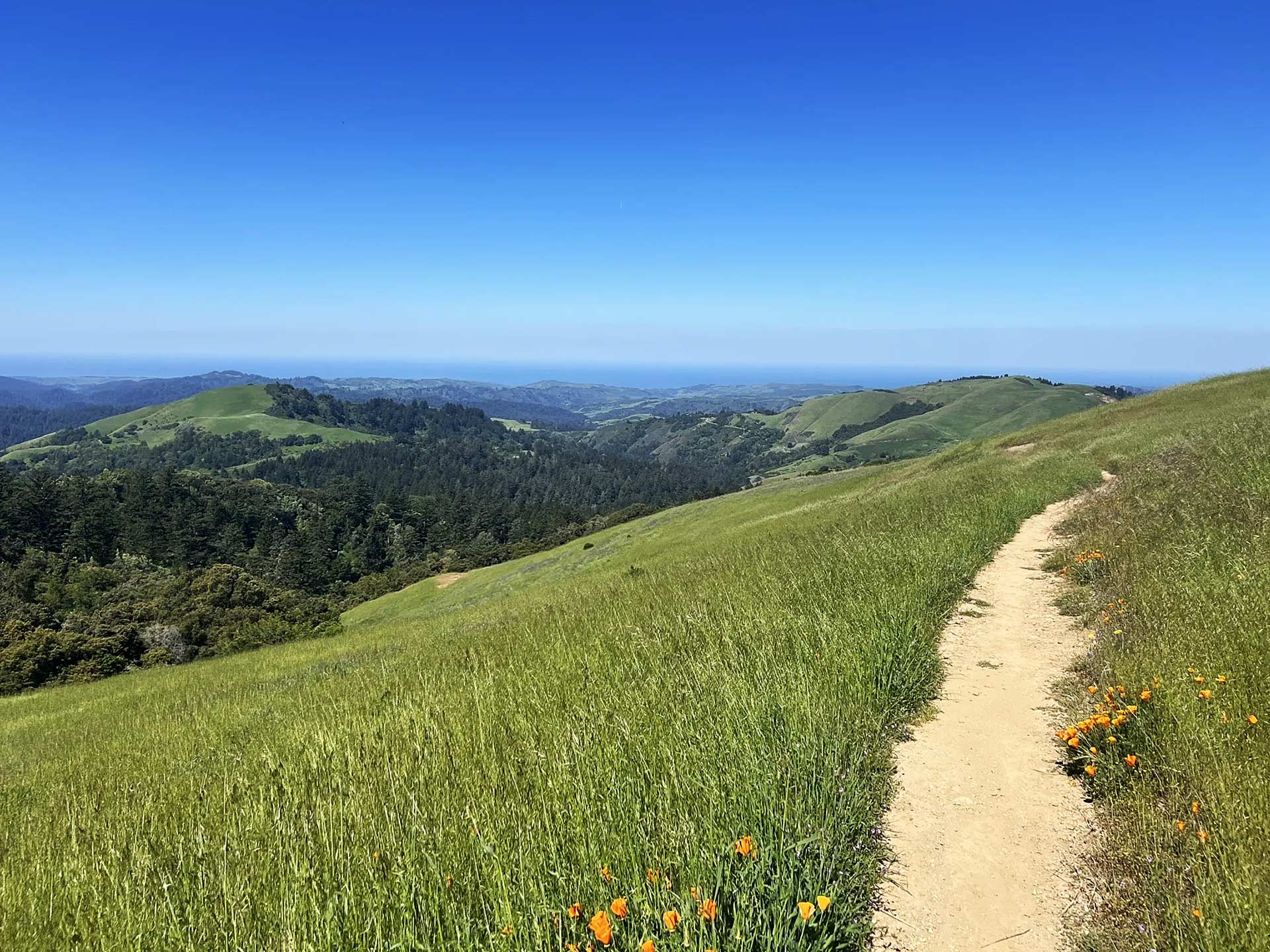 dirt trail along a grassy hillside with a view of hills in the distance