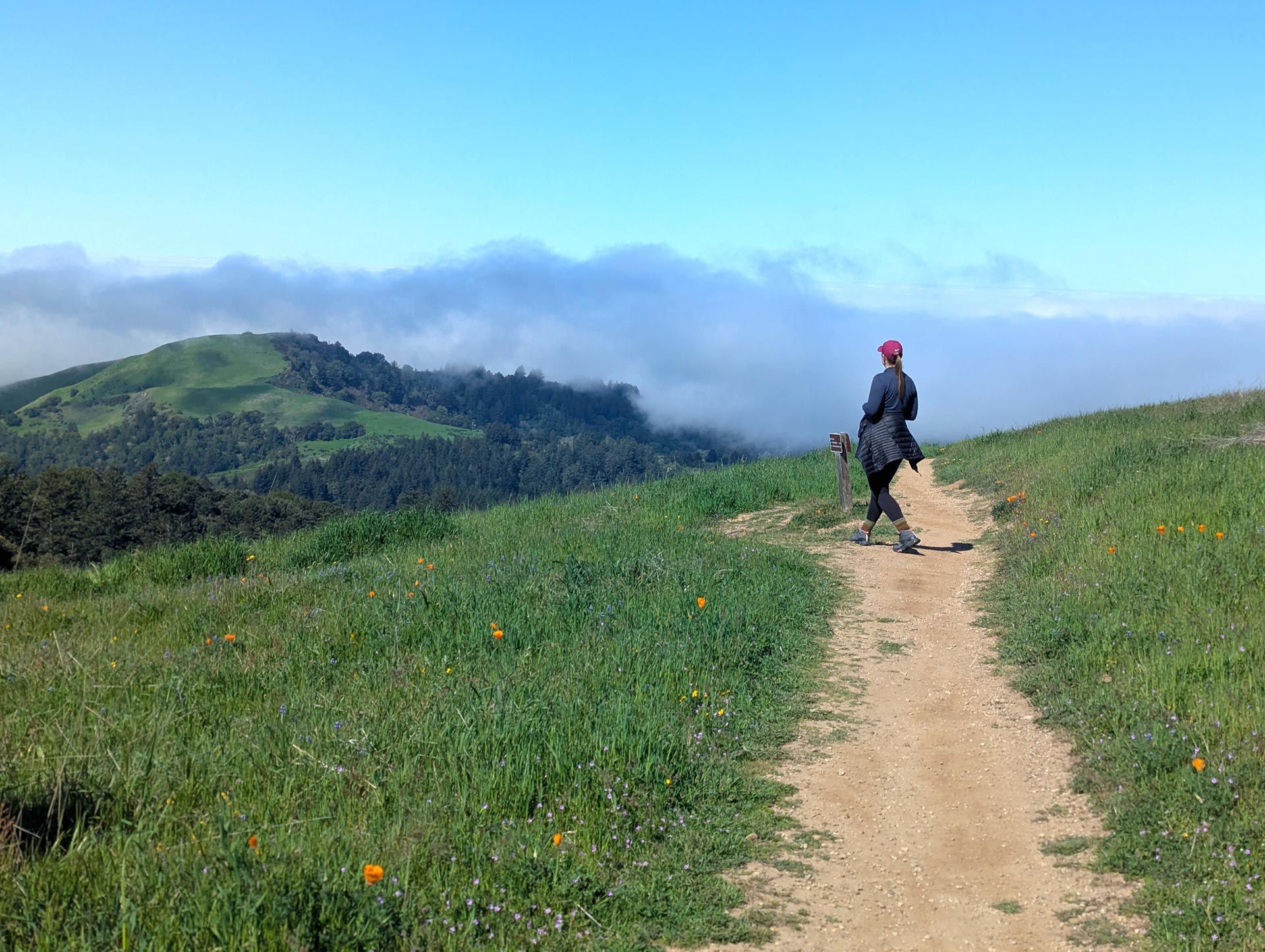 hiker standing on a trail looks out at a green grassy hill in the distance